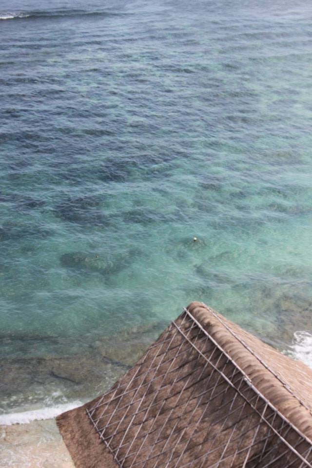 Photo of Hurry slowly, it is Bali 5/11 by Sneha Magapu