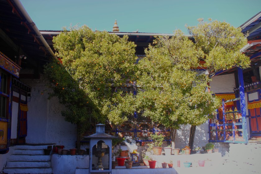 Photo of Kyichu Lhakhang, Paro, Bhutan by Hithesh Bhat