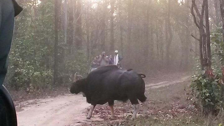 Photo of Kanha National Park, Madhya Pradesh, India by Tuhin Sarkar