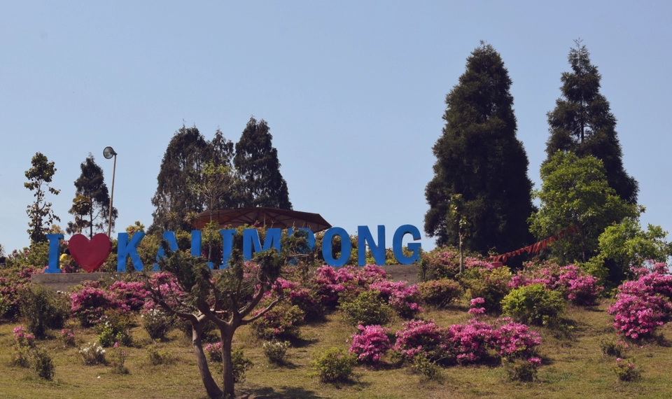 Photo of Delo View Point, Delo, Deolo, Kalimpong, West Bengal, India by Meghali Ghosh