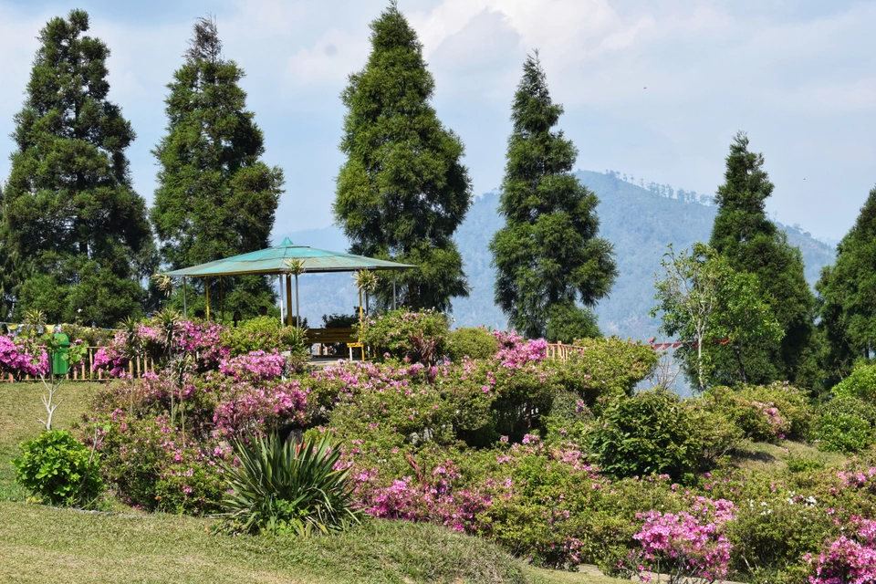 Photo of Delo View Point, Delo, Deolo, Kalimpong, West Bengal, India by Meghali Ghosh