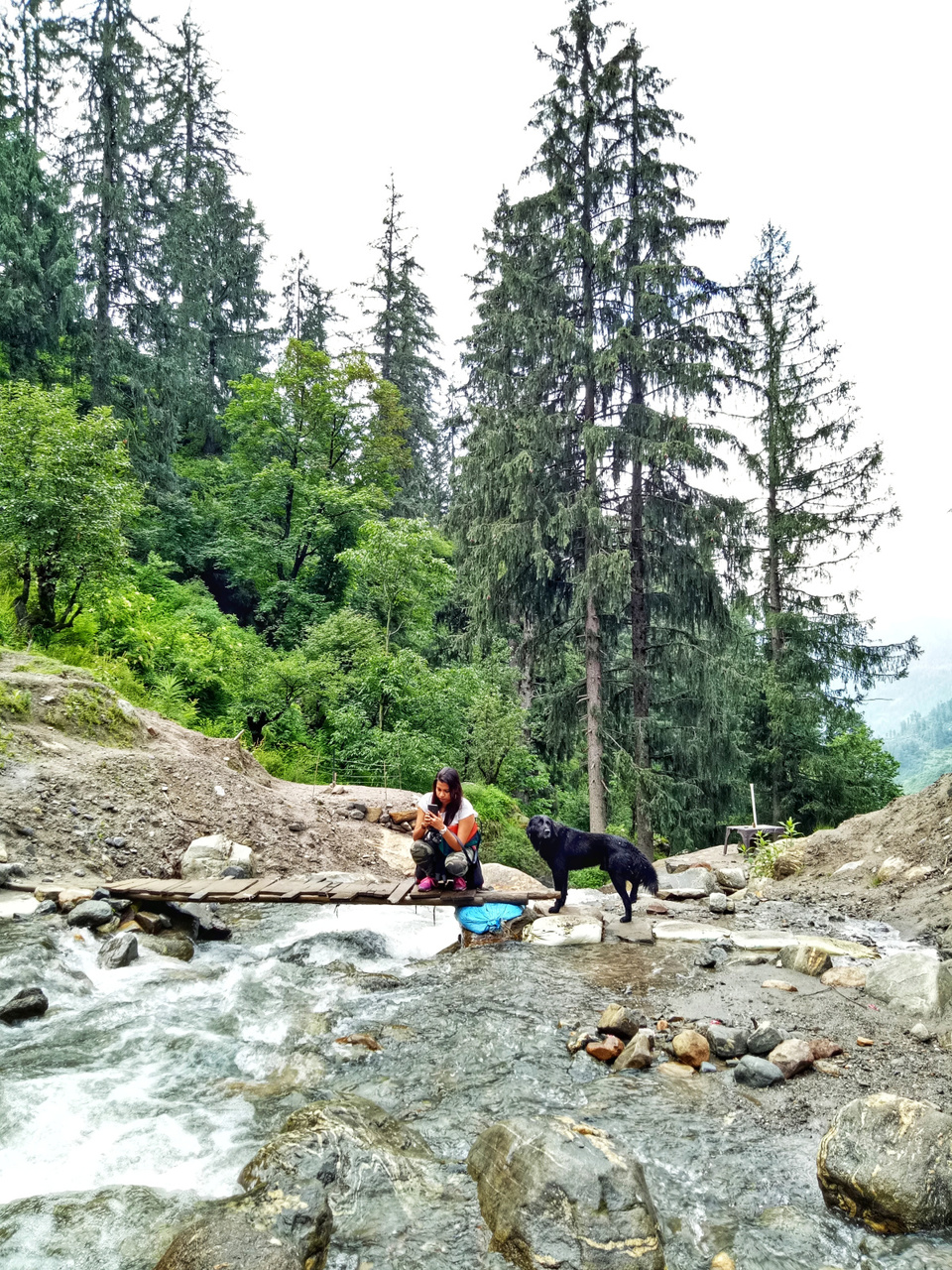 Photo of Backpacking across Parvati Valley! by Meghali Ghosh