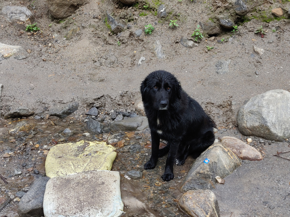 Photo of Backpacking across Parvati Valley! by Meghali Ghosh