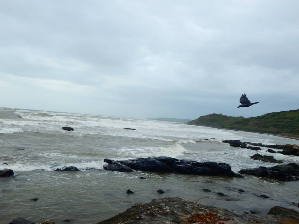 Photo of Monsoon Road Trip: Bangalore to Goa 12/14 by Smiti Maini