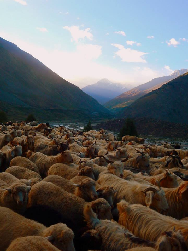 Photo of Ladakh: The Pursuit of Paradise by Smiti Maini