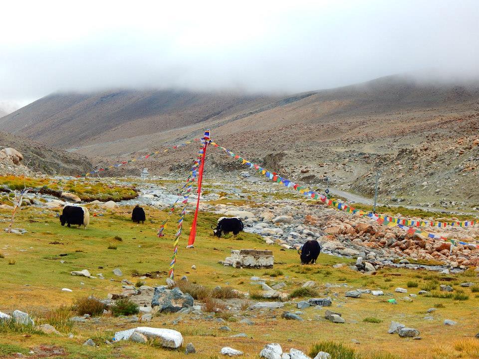 Photo of Ladakh: The Pursuit of Paradise by Smiti Maini