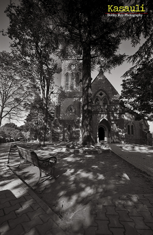 Photo of Of Cobbled Path and Chestnut Trails... 4/13 by Bobby Roy