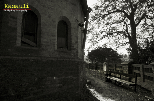 Photo of Of Cobbled Path and Chestnut Trails... 12/13 by Bobby Roy