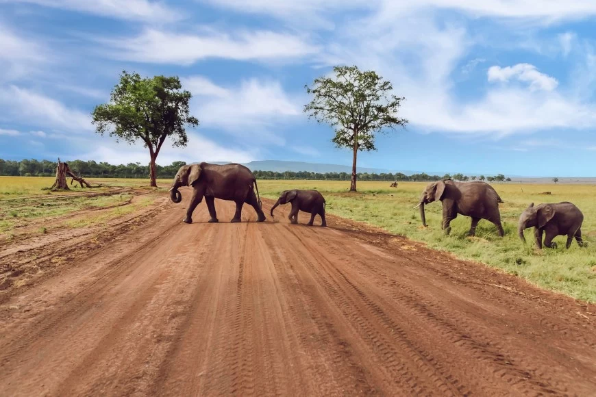 Photo of Governor's Camp Collection, Masai Mara, Kenya by The Travelling Lipstick