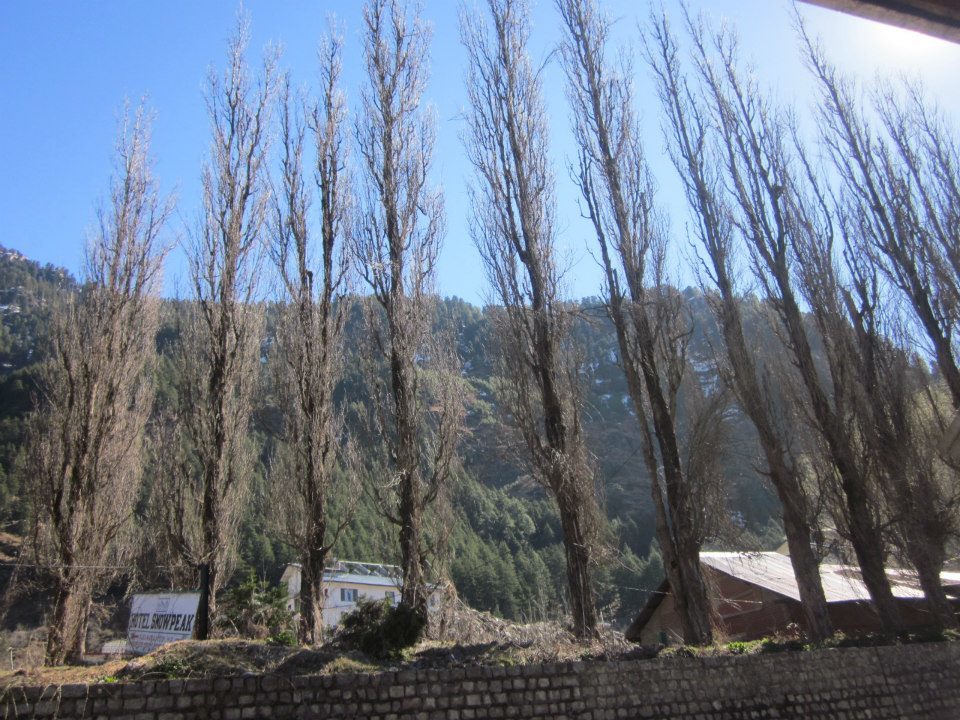 Photo of Himalayan Adventures - My 33rd Birth Day Celebration at Shimla 8/60 by Travellian.in