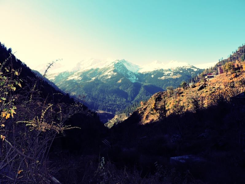 Photo of "Free Kasol" 24/29 by Tarun Nehra
