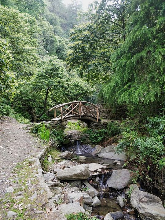 Photo of Jibhi, Himachal Pradesh, India by Surbhi Sabharwal