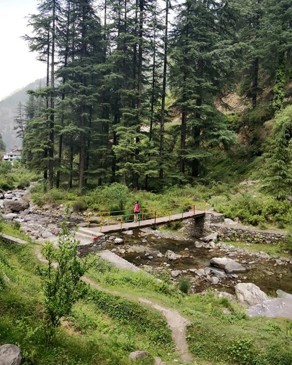Photo of Jibhi, Himachal Pradesh, India by Surbhi Sabharwal