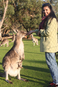 Photo of Feeding kangaroos in Melbourne 4/8 by Akshita