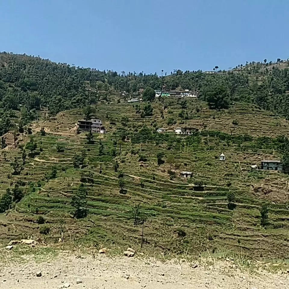 Photo of Nohradhar by Rahul Chaudhary