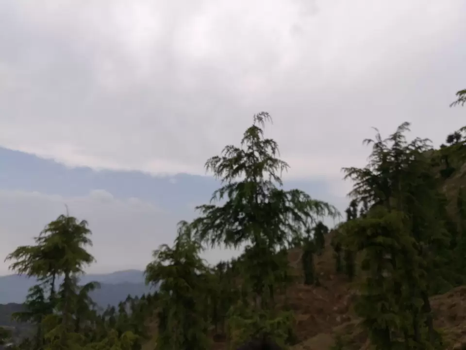 Photo of Nohradhar by Rahul Chaudhary