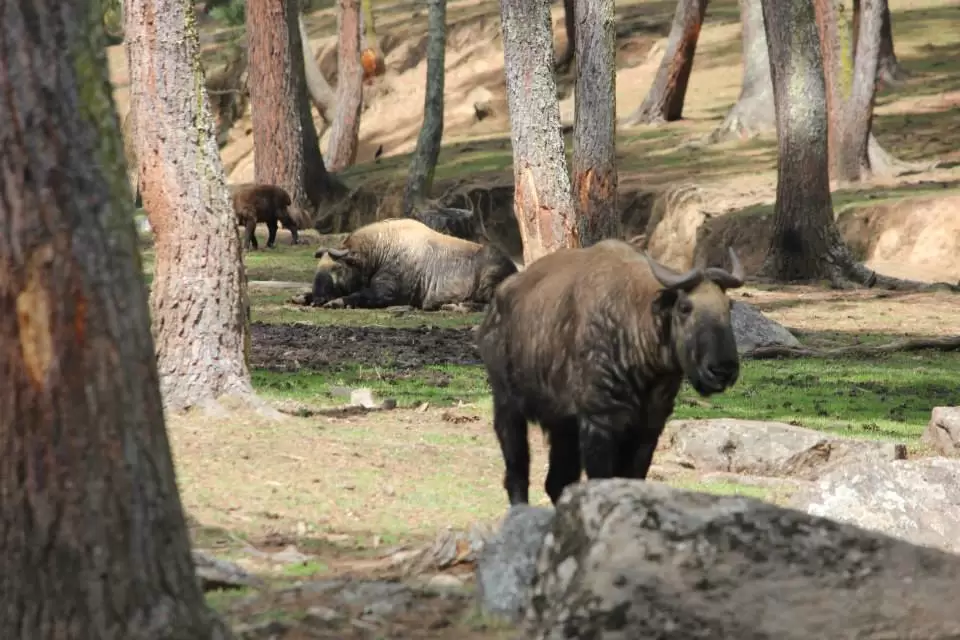 Photo of Punakha District by Abhishek Kumar
