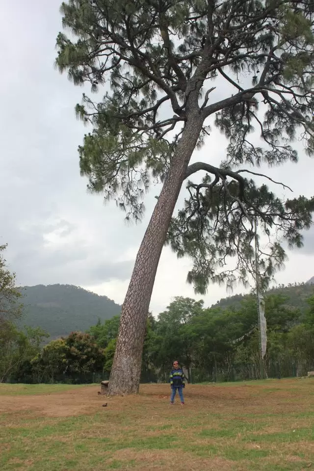 Photo of Bhutan by Abhishek Kumar
