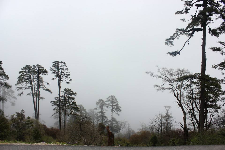 Photo of Bhutan - Himalayan Paradise by Abhishek Kumar