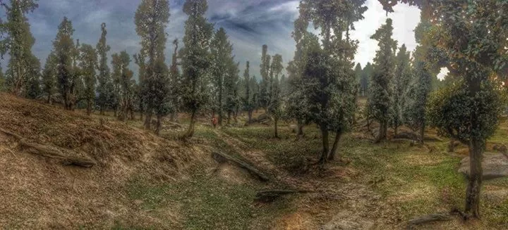 Photo of The Other Way- Churdhar Trek by Sudhakar Vasudev