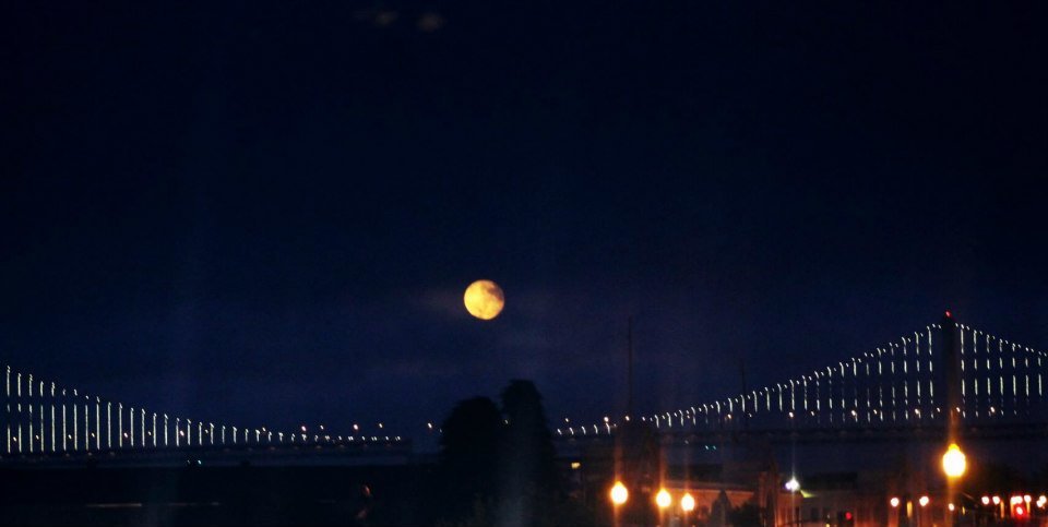 Photo of California - San Fran & Napa Valley 5/5 by Stacey Mendoz