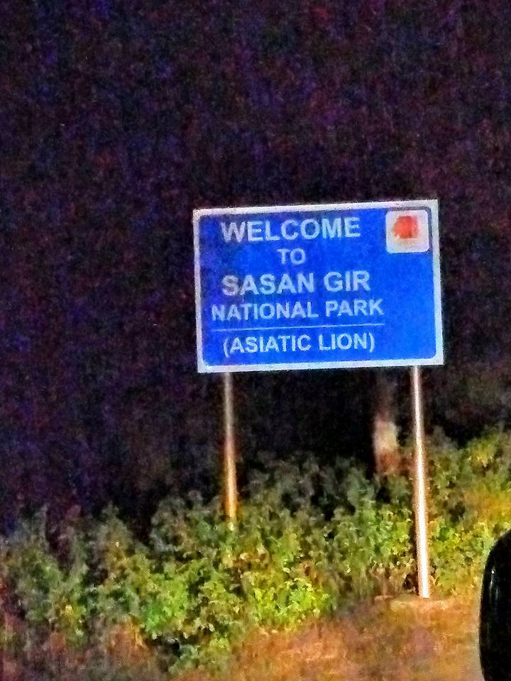 Photo of Sasan Gir, Gujarat, India by Chandni Mehta