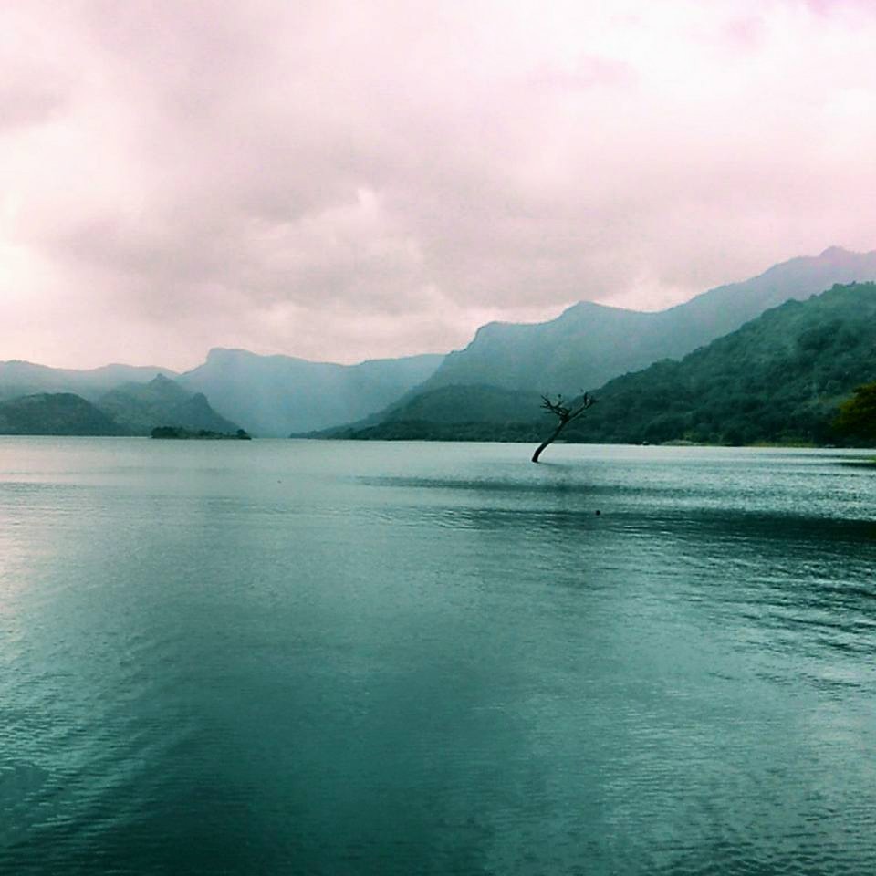 Photo of The Western Ghats of Kerala: One man, one motorcycle, one backpack. 19/36 by Vinay Kr