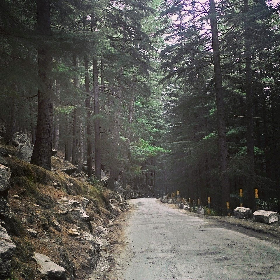 Photo of Motorcycling to those majestic mountains and the first time I saw snow 14/22 by Vinay Kr