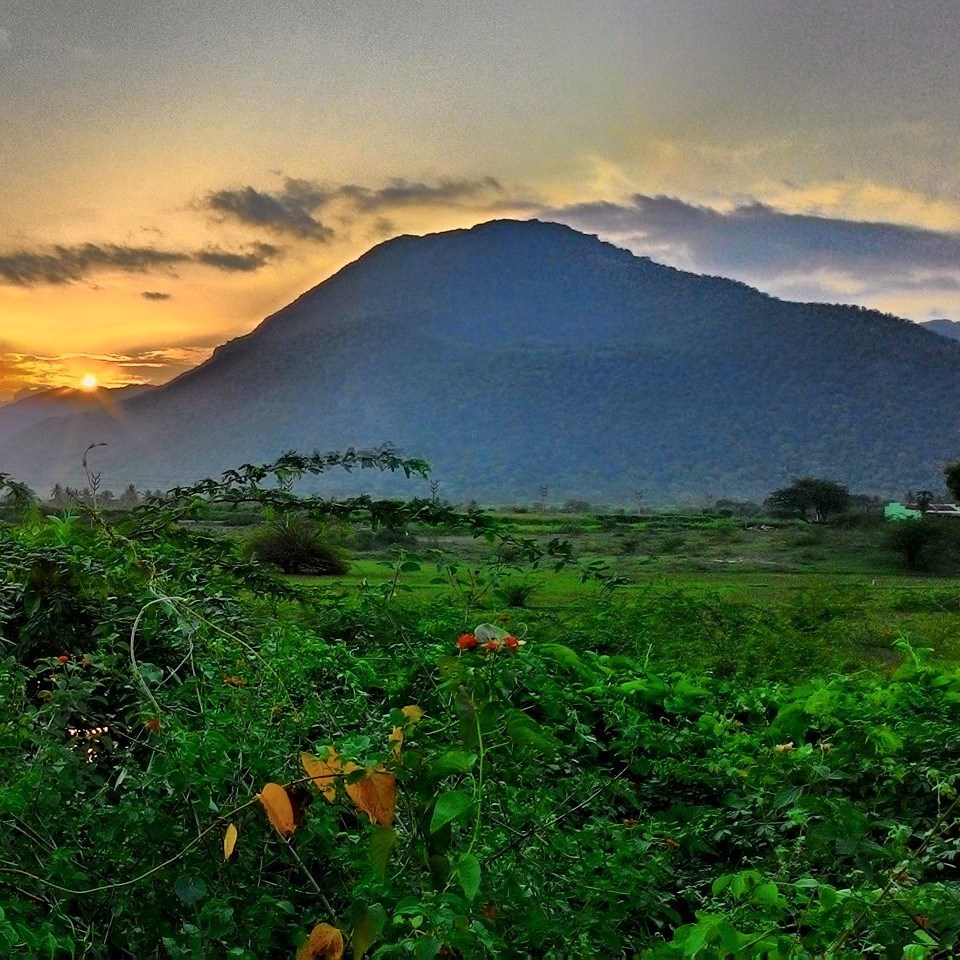 Photo of Backpacking Tamil Nadu, The Land Of Temples. 15/15 by Vinay Kr