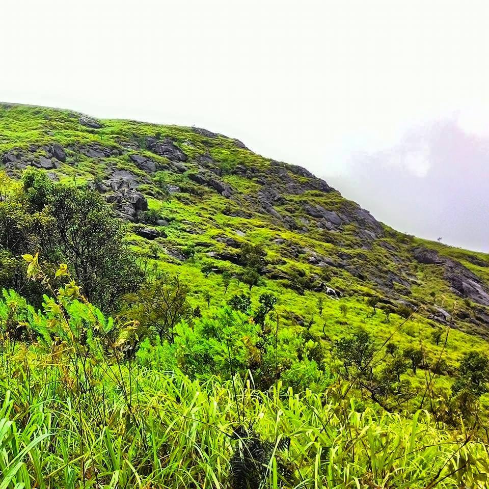 Photo of The Western Ghats of Kerala: One man, one motorcycle, one backpack. 10/36 by Vinay Kr