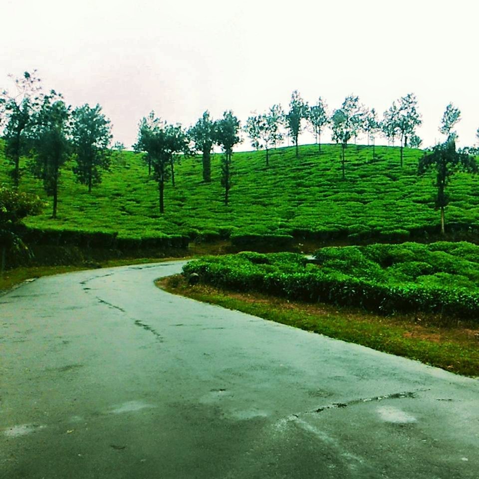 Photo of The Western Ghats of Kerala: One man, one motorcycle, one backpack. 9/36 by Vinay Kr