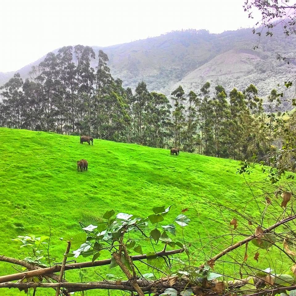 Photo of The Western Ghats of Kerala: One man, one motorcycle, one backpack. 27/36 by Vinay Kr