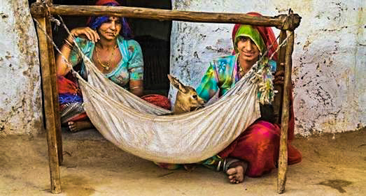 Photo of Bishnois Tribe of India by Swati Jain