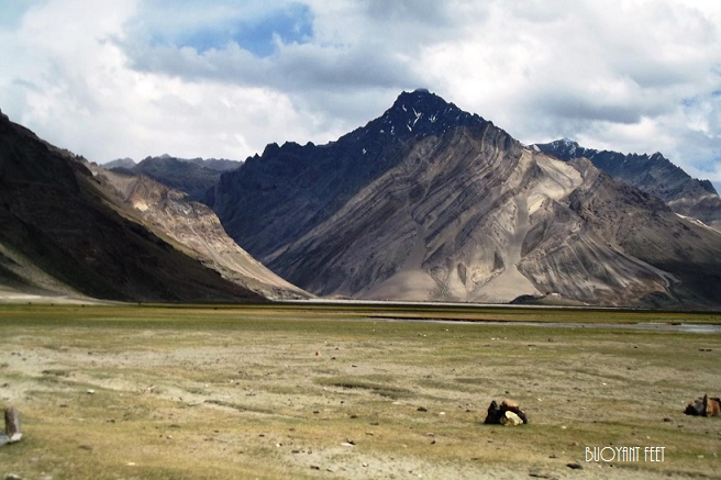 Photo of A Road Trip to the Virgin Land- Zanskar Valley by Swati Jain