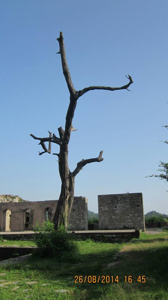 Photo of Kangra fort- where history speaks for itself 9/12 by Pooja