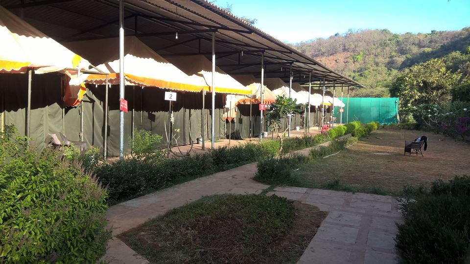 Photo of Blue Green Exotica Camping Mandangadh 5/6 by WayfarerWoman