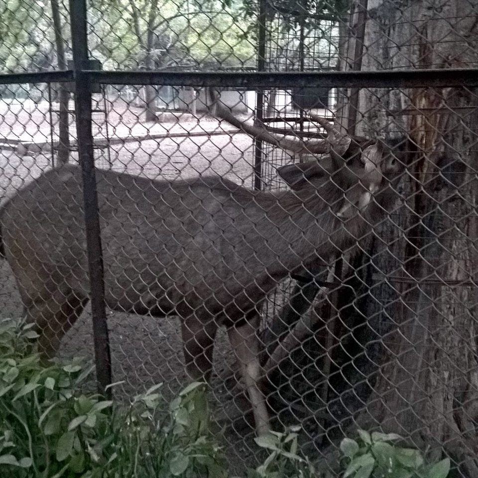 Photo of Nagpur diaries 14/19 by WayfarerWoman