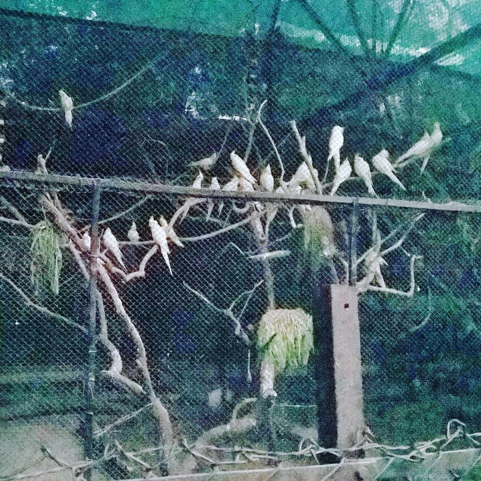 Photo of Nagpur diaries 15/19 by WayfarerWoman