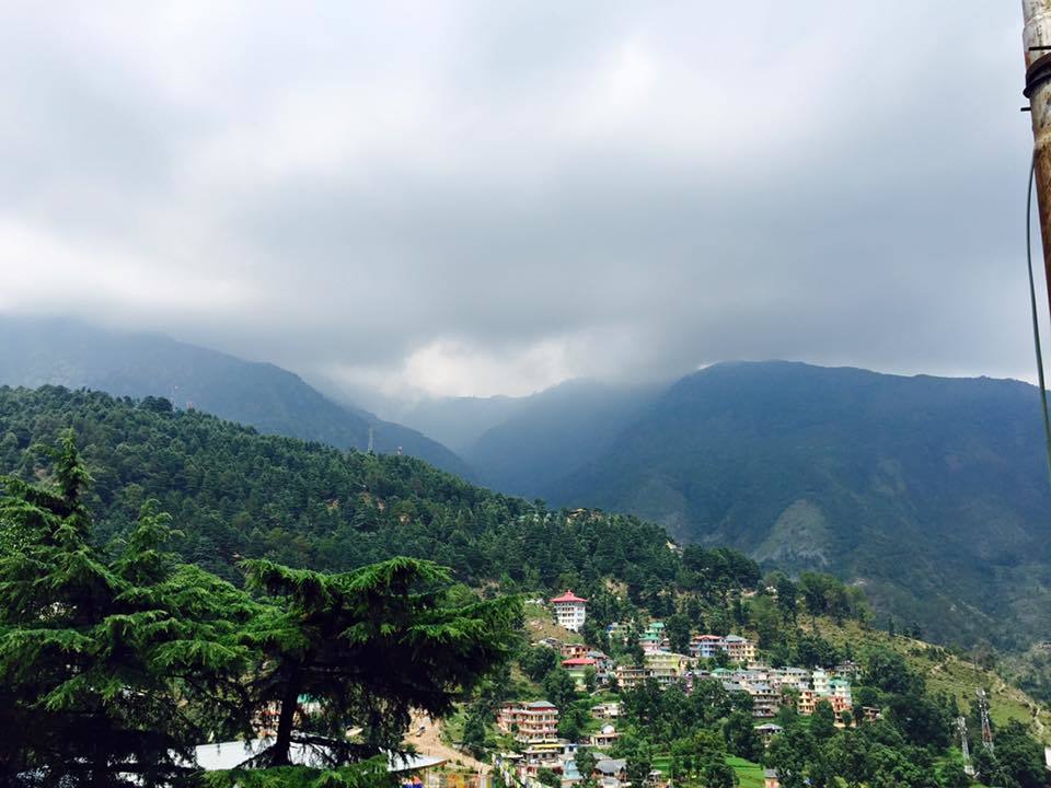 Photo of My first solo trip to McLeodganj and Triund 14/55 by Heemang Parmar
