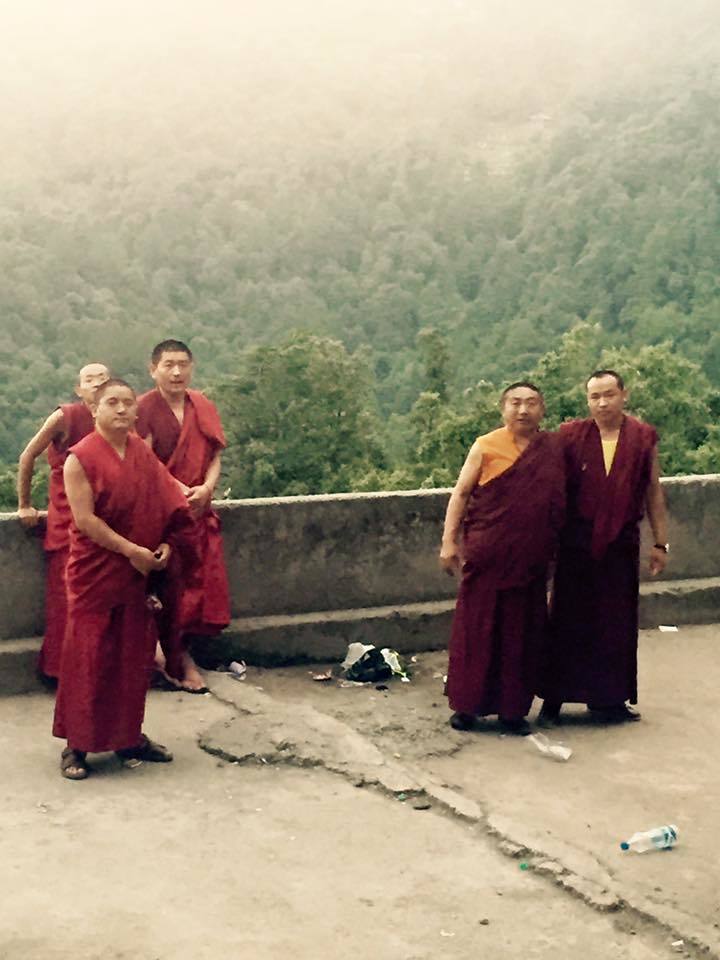 Photo of My first solo trip to McLeodganj and Triund 7/55 by Heemang Parmar