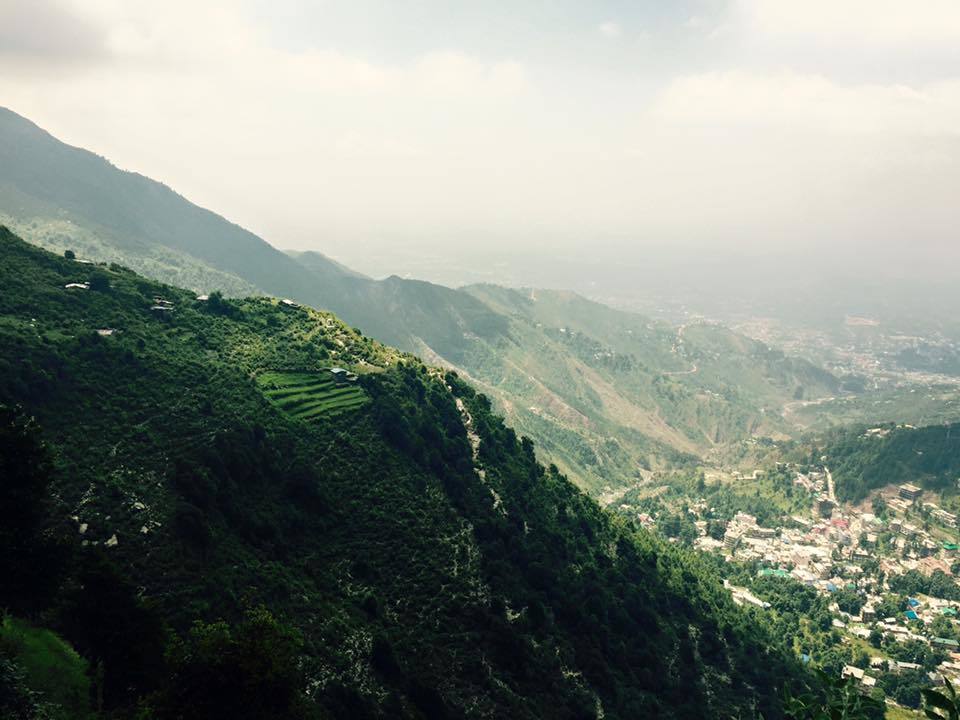 Photo of My first solo trip to McLeodganj and Triund 51/55 by Heemang Parmar