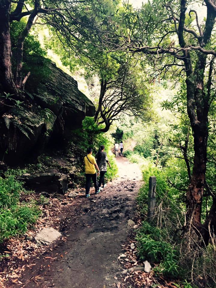 Photo of My first solo trip to McLeodganj and Triund 49/55 by Heemang Parmar