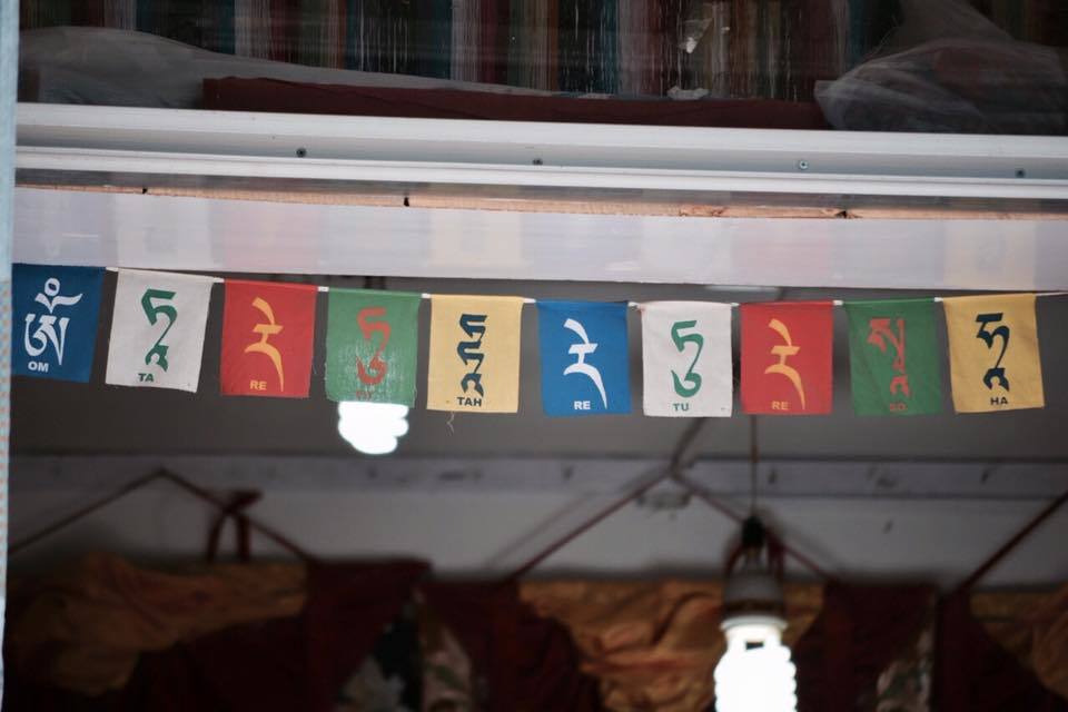 Photo of My first solo trip to McLeodganj and Triund 4/55 by Heemang Parmar