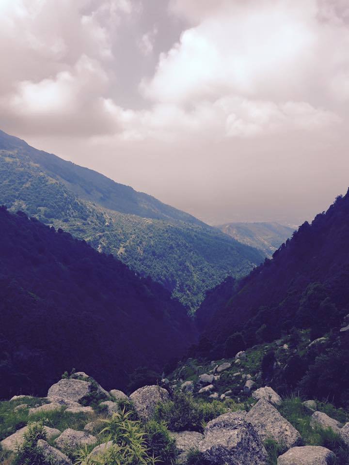 Photo of My first solo trip to McLeodganj and Triund 44/55 by Heemang Parmar