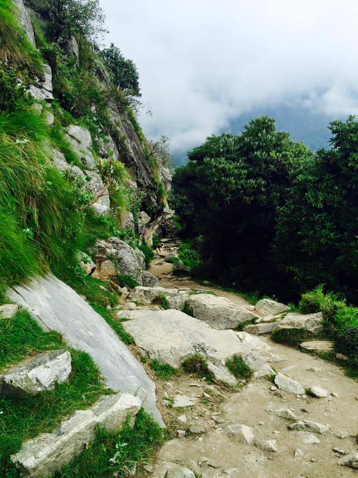 Photo of My first solo trip to McLeodganj and Triund 41/55 by Heemang Parmar