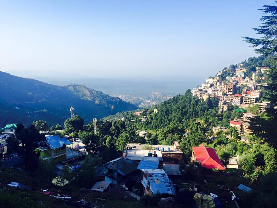 Photo of My first solo trip to McLeodganj and Triund 55/55 by Heemang Parmar