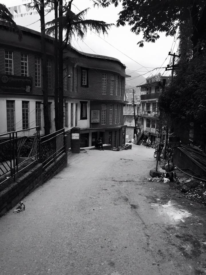 Photo of My first solo trip to McLeodganj and Triund 12/55 by Heemang Parmar