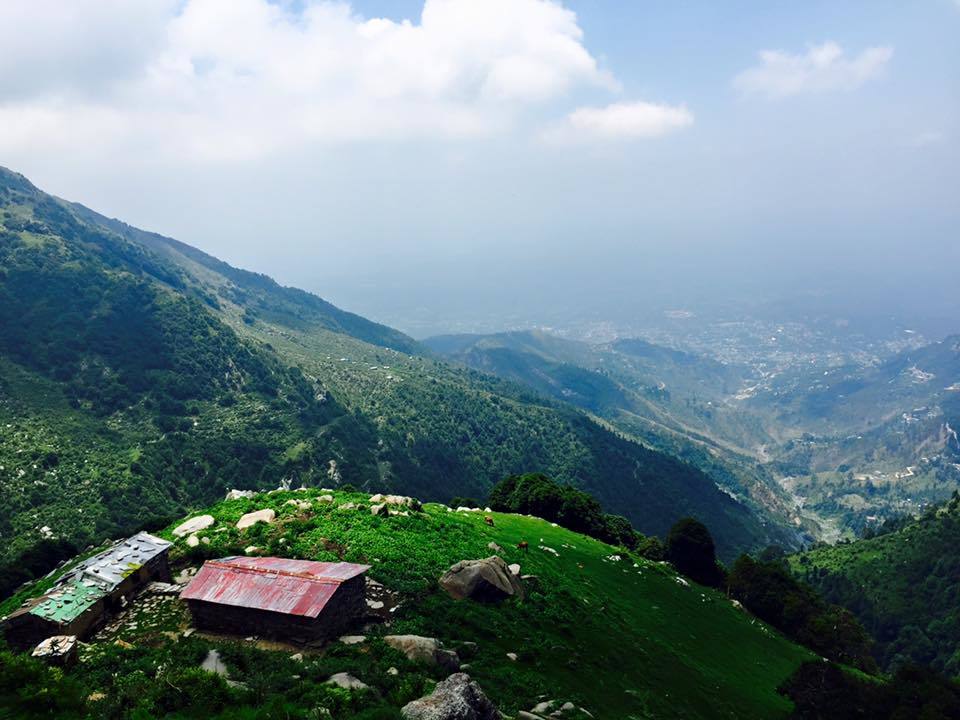Photo of My first solo trip to McLeodganj and Triund 43/55 by Heemang Parmar