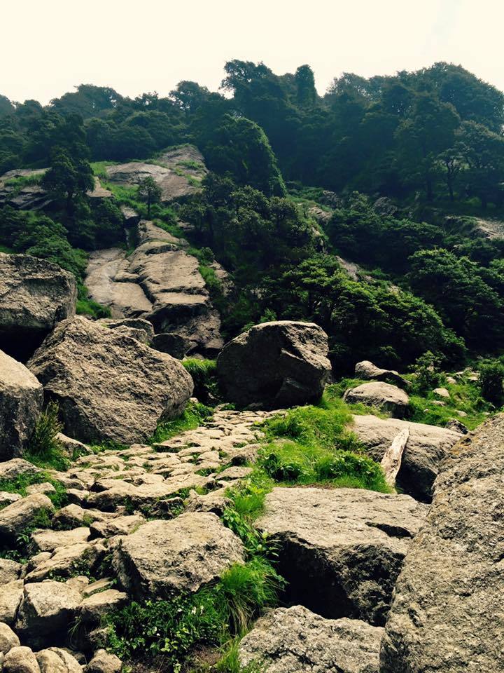 Photo of My first solo trip to McLeodganj and Triund 36/55 by Heemang Parmar