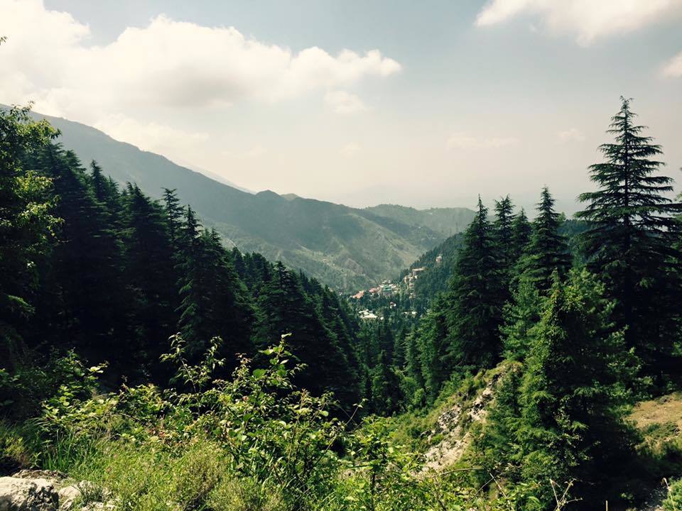 Photo of My first solo trip to McLeodganj and Triund 53/55 by Heemang Parmar